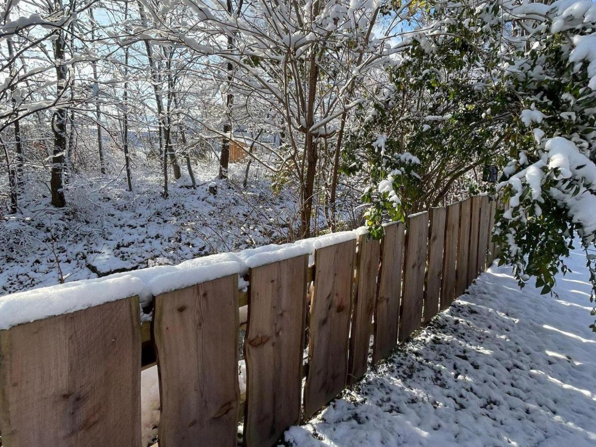 Haus Am Bach Daire Erl Dış mekan fotoğraf