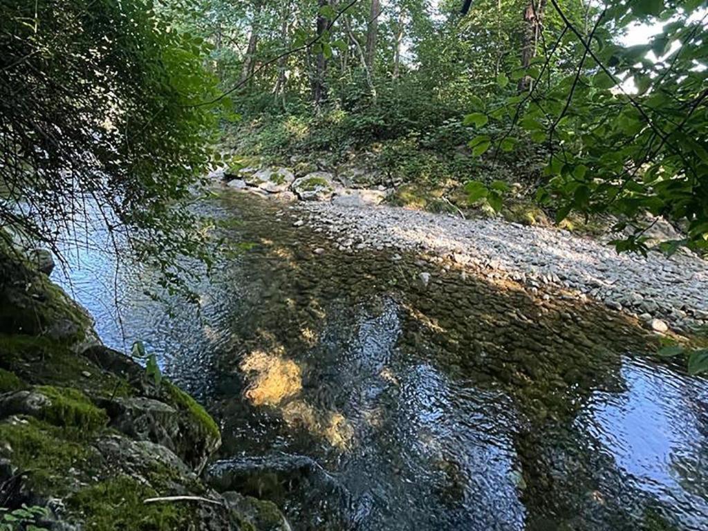 Haus Am Bach Daire Erl Dış mekan fotoğraf